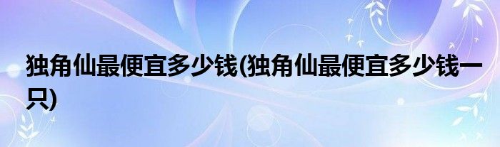 独角仙最便宜多少钱(独角仙最便宜多少钱一只)