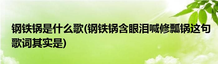 钢铁锅是什么歌(钢铁锅含眼泪喊修瓢锅这句歌词其实是)