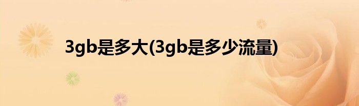 3gb是多大(3gb是多少流量)
