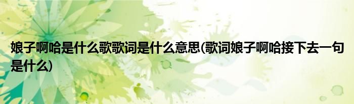 娘子啊哈是什么歌歌词是什么意思(歌词娘子啊哈接下去一句是什么)