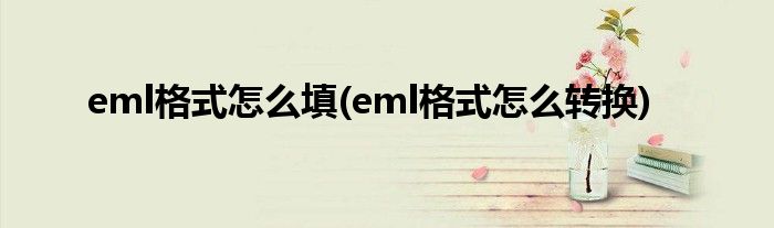 eml格式怎么填(eml格式怎么转换)