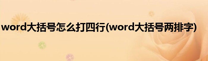 word大括号怎么打四行(word大括号两排字)