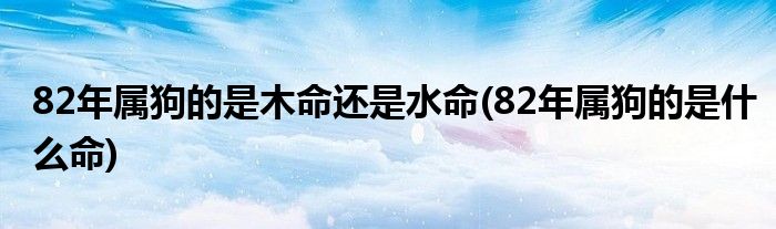 82年属狗的是木命还是水命(82年属狗的是什么命)