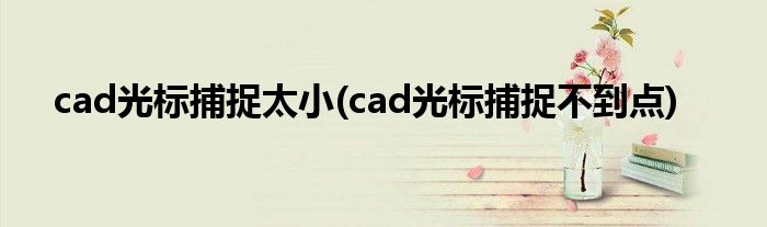 cad光标捕捉太小(cad光标捕捉不到点)