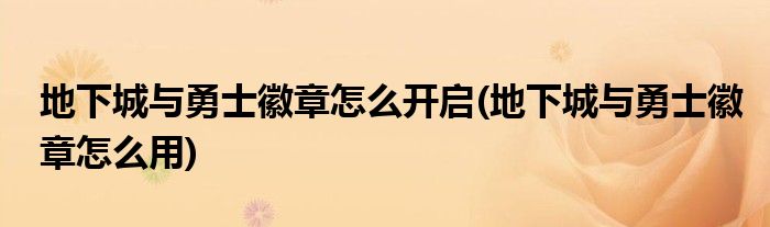 地下城与勇士徽章怎么开启(地下城与勇士徽章怎么用)