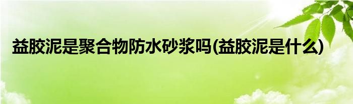 益胶泥是聚合物防水砂浆吗(益胶泥是什么)