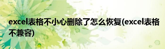 excel表格不小心删除了怎么恢复(excel表格不兼容)
