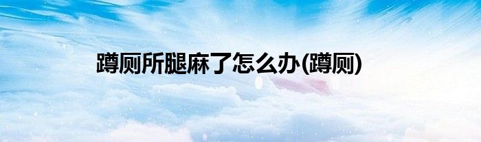 蹲厕所腿麻了怎么办(蹲厕)