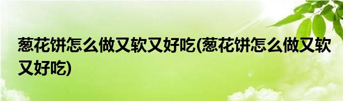 葱花饼怎么做又软又好吃(葱花饼怎么做又软又好吃)