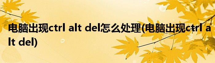 电脑出现ctrl alt del怎么处理(电脑出现ctrl alt del)