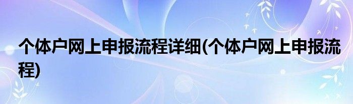 个体户网上申报流程详细(个体户网上申报流程)