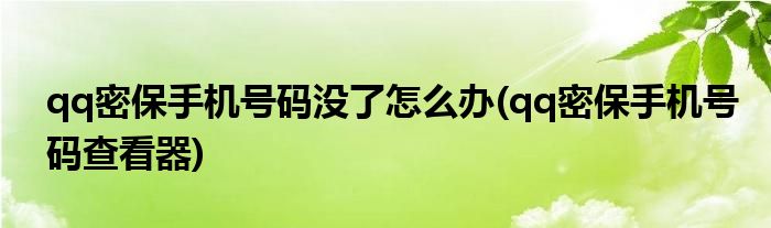 qq密保手机号码没了怎么办(qq密保手机号码查看器)