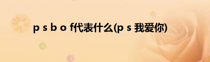 p s b o f代表什么(p s 我爱你)