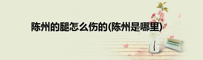 陈州的腿怎么伤的(陈州是哪里)