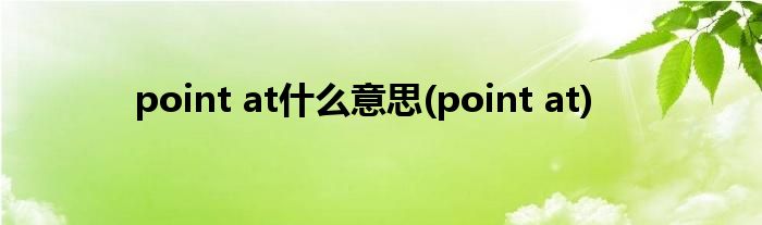 point at什么意思(point at)