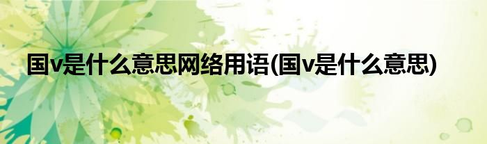 国v是什么意思网络用语(国v是什么意思)