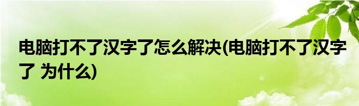 电脑打不了汉字了怎么解决(电脑打不了汉字了 为什么)