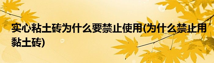 实心粘土砖为什么要禁止使用(为什么禁止用黏土砖)