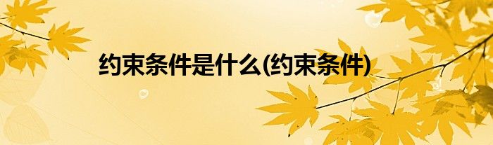 约束条件是什么(约束条件)