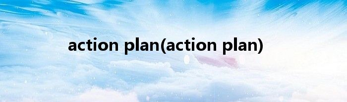 action plan(action plan)