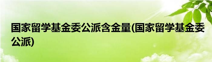 国家留学基金委公派含金量(国家留学基金委公派)