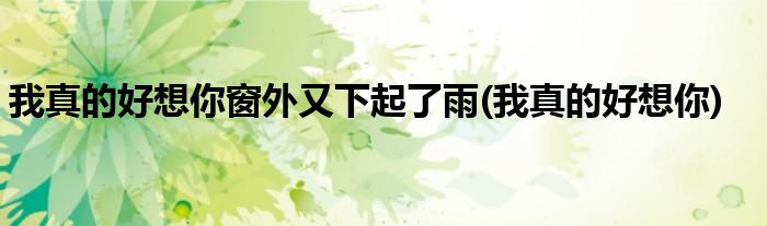 我真的好想你窗外又下起了雨(我真的好想你)