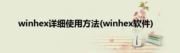 winhex详细使用方法(winhex软件)