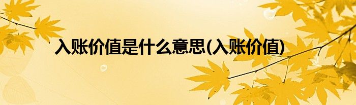 入账价值是什么意思(入账价值)