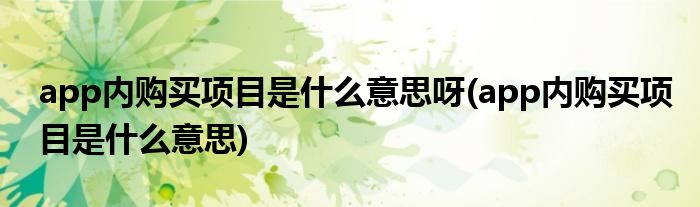 app内购买项目是什么意思呀(app内购买项目是什么意思)