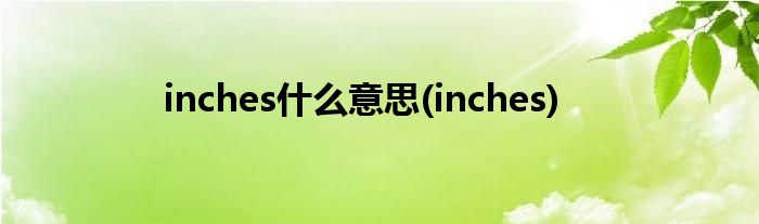 inches什么意思(inches)