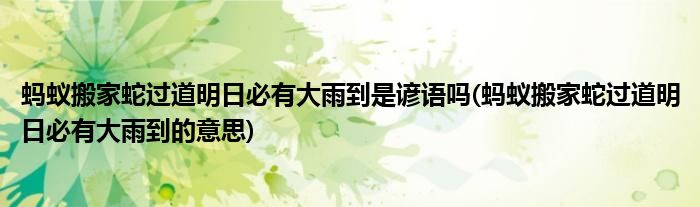 蚂蚁搬家蛇过道明日必有大雨到是谚语吗(蚂蚁搬家蛇过道明日必有大雨到的意思)