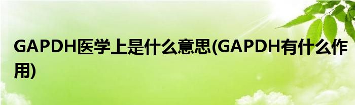 GAPDH医学上是什么意思(GAPDH有什么作用)
