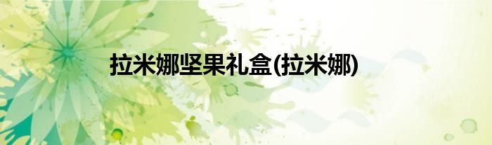 拉米娜坚果礼盒(拉米娜)