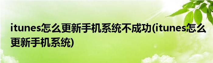 itunes怎么更新手机系统不成功(itunes怎么更新手机系统)