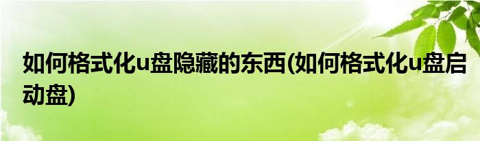 如何格式化u盘隐藏的东西(如何格式化u盘启动盘)