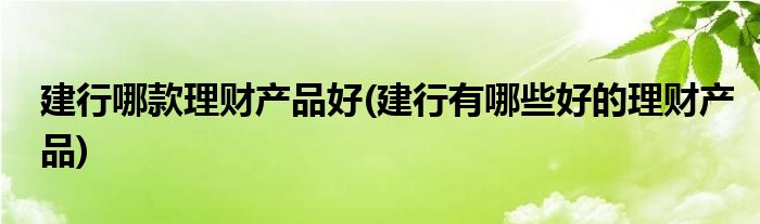 建行哪款理财产品好(建行有哪些好的理财产品)