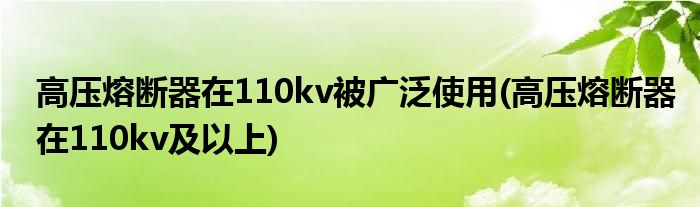 高压熔断器在110kv被广泛使用(高压熔断器在110kv及以上)