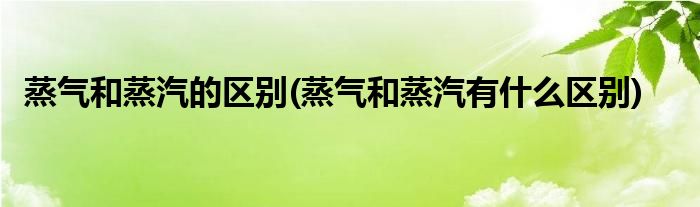 蒸气和蒸汽的区别(蒸气和蒸汽有什么区别)