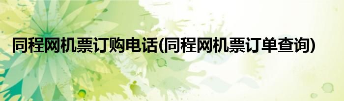 同程网机票订购电话(同程网机票订单查询)