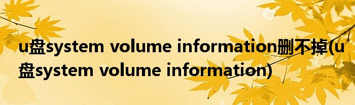u盘system volume information删不掉(u盘system volume information)