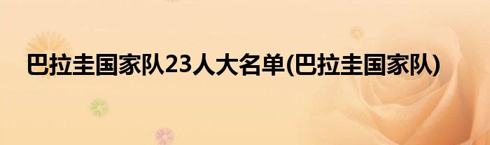 巴拉圭国家队23人大名单(巴拉圭国家队)
