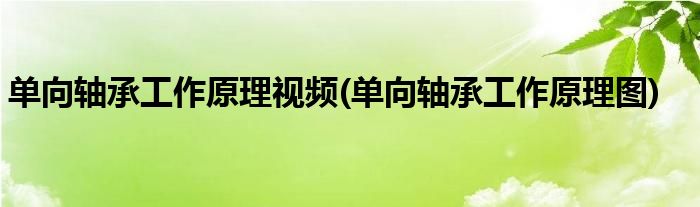 单向轴承工作原理视频(单向轴承工作原理图)