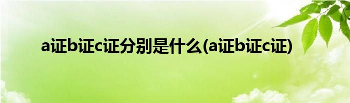 a证b证c证分别是什么(a证b证c证)