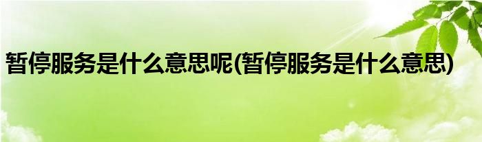 暂停服务是什么意思呢(暂停服务是什么意思)