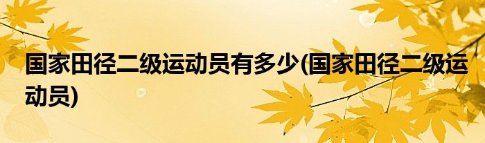 国家田径二级运动员有多少(国家田径二级运动员)