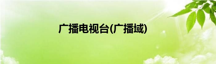 广播电视台(广播域)