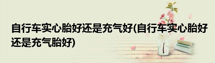 自行车实心胎好还是充气好(自行车实心胎好还是充气胎好)