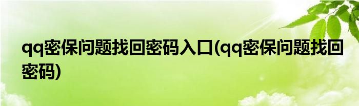 qq密保问题找回密码入口(qq密保问题找回密码)