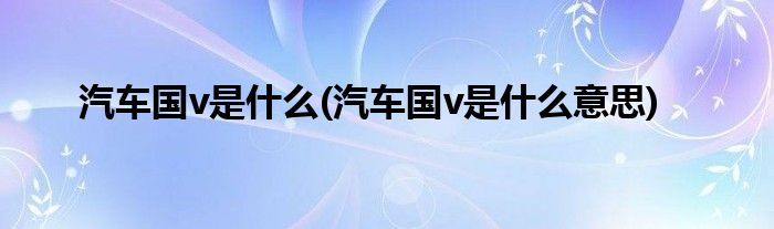 汽车国v是什么(汽车国v是什么意思)