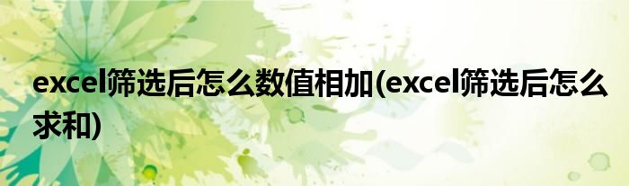 excel筛选后怎么数值相加(excel筛选后怎么求和)